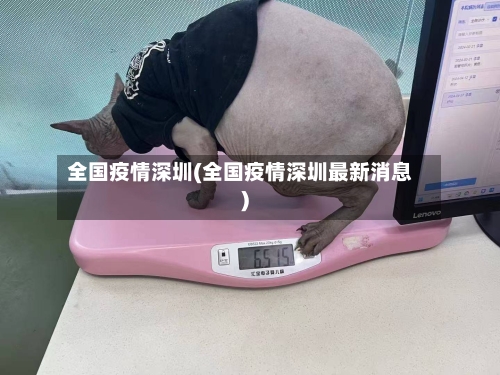 全国疫情深圳(全国疫情深圳最新消息)