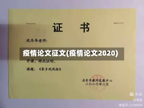 疫情论文征文(疫情论文2020)