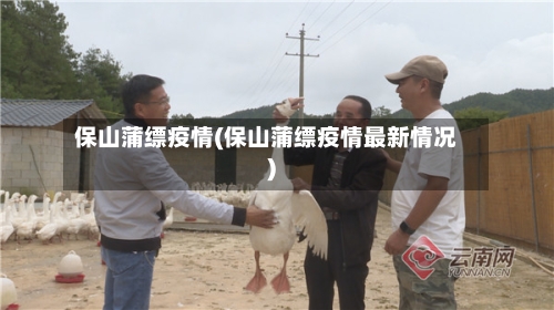 保山蒲缥疫情(保山蒲缥疫情最新情况)