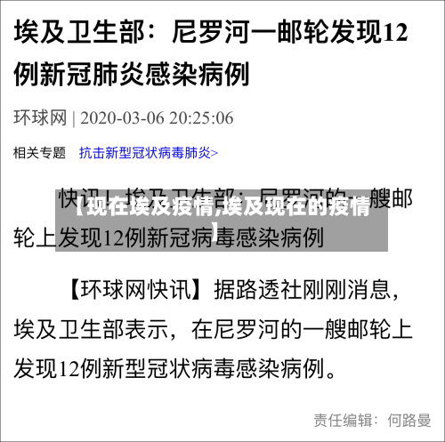 【现在埃及疫情,埃及现在的疫情】-第2张图片