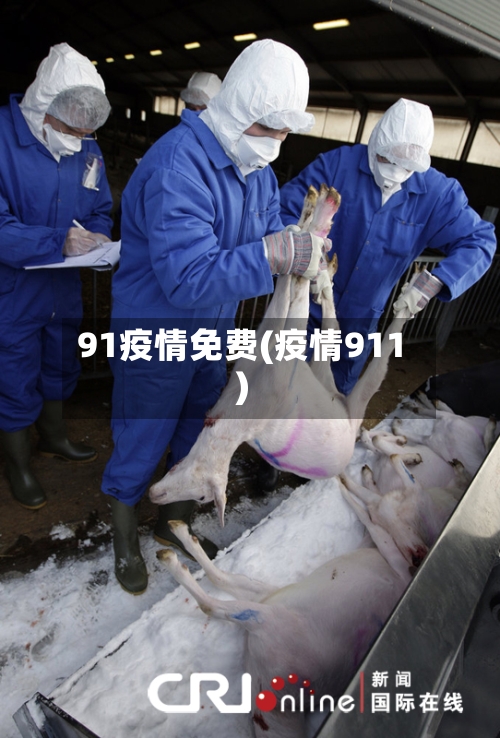 91疫情免费(疫情911)-第2张图片