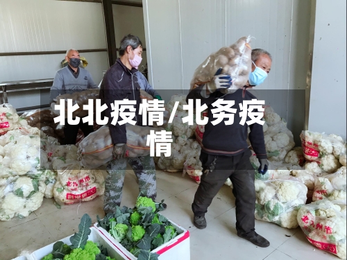 北北疫情/北务疫情