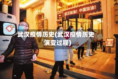武汉疫情历史(武汉疫情历史演变过程)