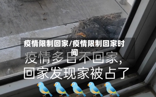 疫情限制回家/疫情限制回家时间