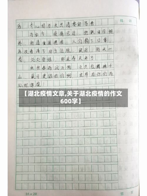 【湖北疫情文章,关于湖北疫情的作文600字】
