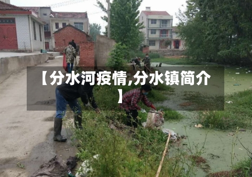 【分水河疫情,分水镇简介】-第2张图片