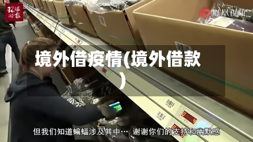 境外借疫情(境外借款)