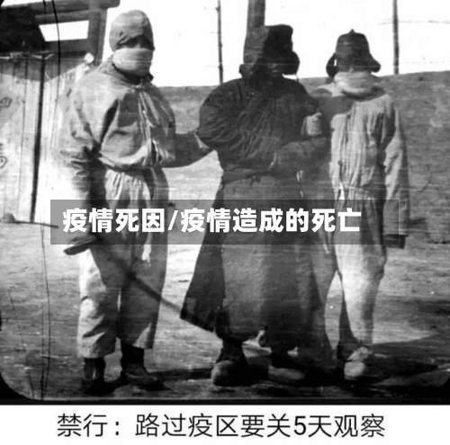 疫情死因/疫情造成的死亡