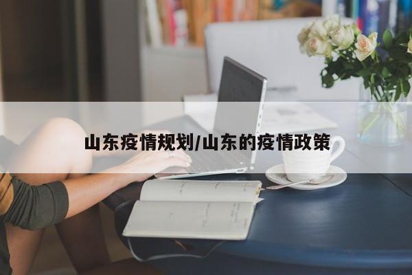 山东疫情规划/山东的疫情政策